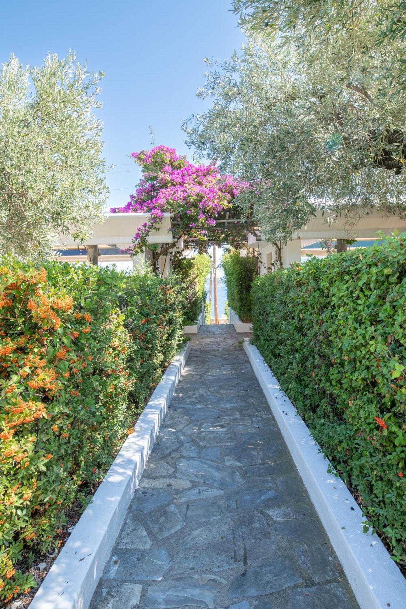 Elea Villas Steni Vala Alonissos Exterior photo