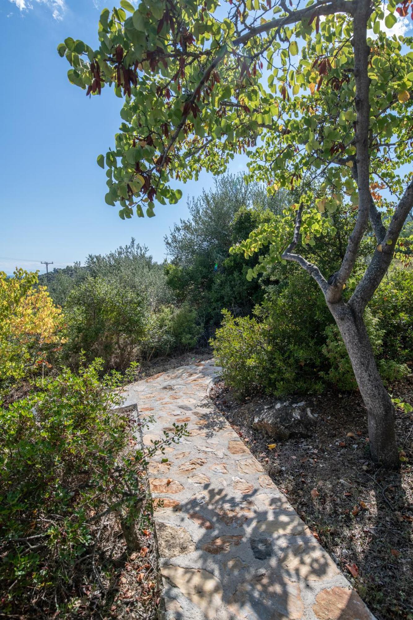 Elea Villas Steni Vala Alonissos Exterior photo